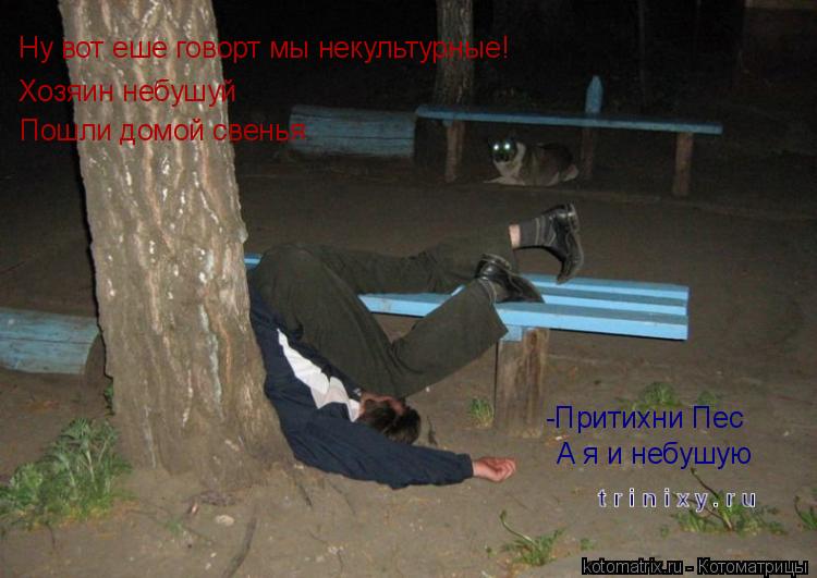 Ну вот еше говорт мы некультурные! -Притихни Пес Хозяин небушуй А я и небушую Пошли домой свенья... Котоматрица: Ну вот еше говорт мы некультурные! -Притихни Пес Хозяин небушуй А я и небушую Пошли домой свенья