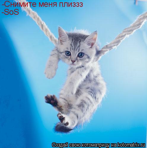 -Снимите меня плиззз -SoS... Котоматрица: -Снимите меня плиззз -SoS