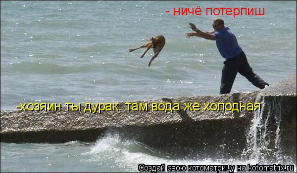 -хозяин ты дурак, там вода же холодная - ничё потерпиш... Котоматрица: -хозяин ты дурак, там вода же холодная - ничё потерпиш