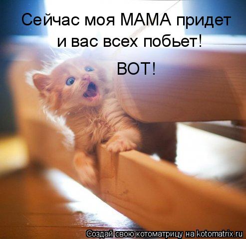 Сейчас моя МАМА придет и вас всех побьет! ВОТ!... Котоматрица: Сейчас моя МАМА придет и вас всех побьет! ВОТ!