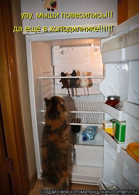 уау, мыши повесились!!! да ещё в холодилнике!!!!!!... Котоматрица: уау, мыши повесились!!! да ещё в холодилнике!!!!!!