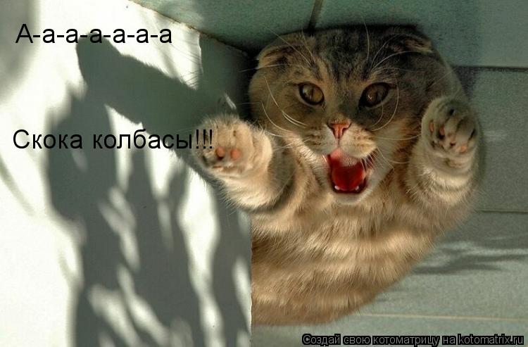 А-а-а-а-а-а-а Скока колбасы!!!... Котоматрица: А-а-а-а-а-а-а Скока колбасы!!!