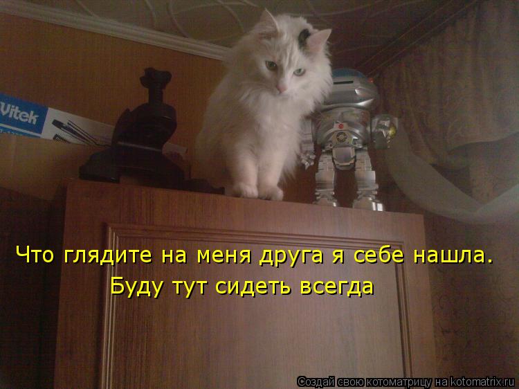 Что глядите на меня друга я себе нашла. Буду тут сидеть всегда... Котоматрица: Что глядите на меня друга я себе нашла. Буду тут сидеть всегда