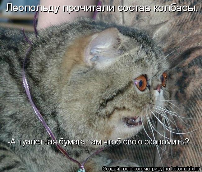 Леопольду прочитали состав колбасы. -А туалетная бумага там чтоб свою экономить?... Котоматрица: Леопольду прочитали состав колбасы. -А туалетная бумага там чтоб свою экономить?