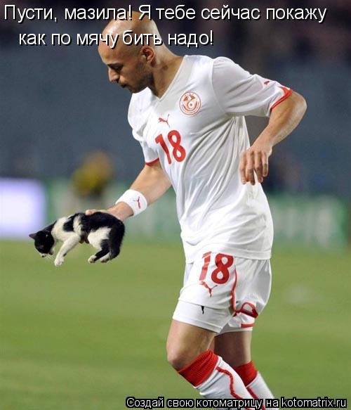 Пусти, мазила! Я тебе сейчас покажу как по мячу бить надо!... Котоматрица: Пусти, мазила! Я тебе сейчас покажу как по мячу бить надо!