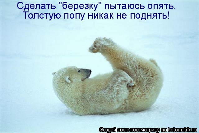 Сделать "березку" пытаюсь опять. Толстую попу никак не поднять!... Котоматрица: Сделать "березку" пытаюсь опять. Толстую попу никак не поднять!