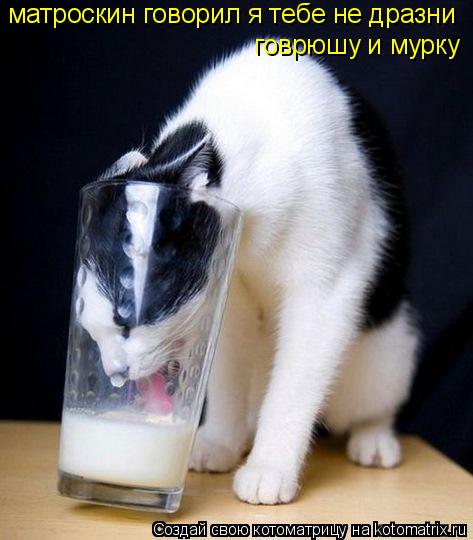 матроскин говорил я тебе не дразни говрюшу и мурку... Котоматрица: матроскин говорил я тебе не дразни говрюшу и мурку