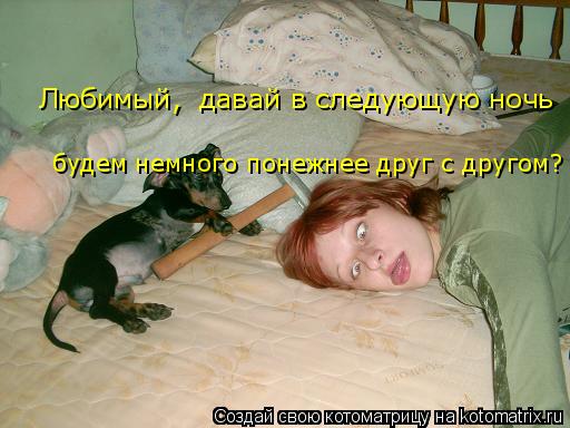 Любимый, давай в следующую ночь будем немного понежнее друг с другом?... Котоматрица: Любимый, давай в следующую ночь будем немного понежнее друг с другом?