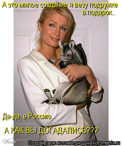 А это милое создание я везу подружке в подарок.. Да-да, в Россию.. А КАК ВЫ ДОГАДАЛИСЬ???... Котоматрица: А это милое создание я везу подружке в подарок.. Да-да, в Россию.. А КАК ВЫ ДОГАДАЛИСЬ???