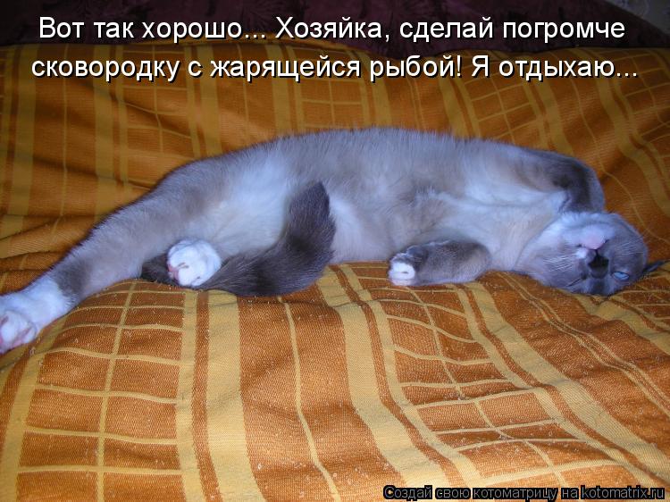 Вот так хорошо... Хозяйка, сделай погромче сковородку с жарящейся рыбой! Я отдыхаю...... Котоматрица: Вот так хорошо... Хозяйка, сделай погромче сковородку с жарящейся рыбой! Я отдыхаю...