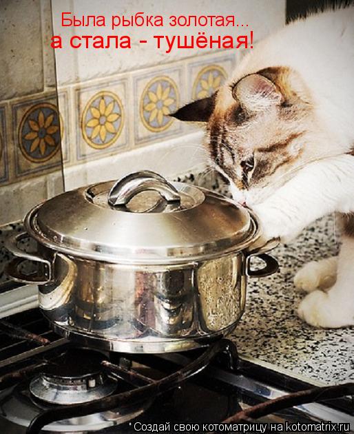 Была рыбка золотая... а стала - тушёная!... Котоматрица: Была рыбка золотая... а стала - тушёная!