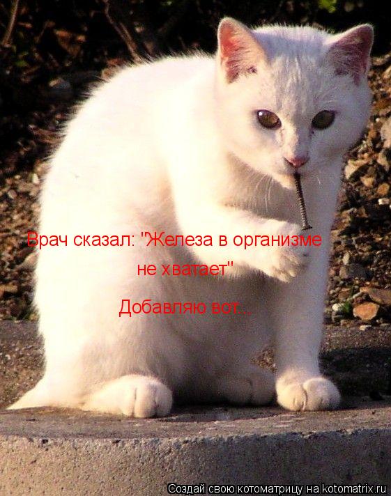 Врач сказал: "Железа в организме не хватает" Добавляю вот...... Котоматрица: Врач сказал: "Железа в организме не хватает" Добавляю вот...