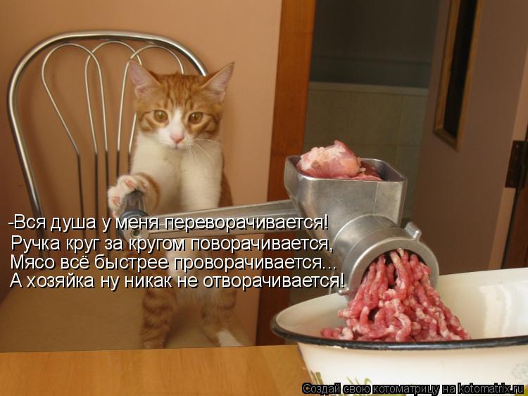 -Вся душа у меня переворачивается! Ручка круг за кругом поворачивается, Мясо всё быстрее проворачивае... Котоматрица: -Вся душа у меня переворачивается! Ручка круг за кругом поворачивается, Мясо всё быстрее проворачивается... А хозяйка ну никак не отворачива