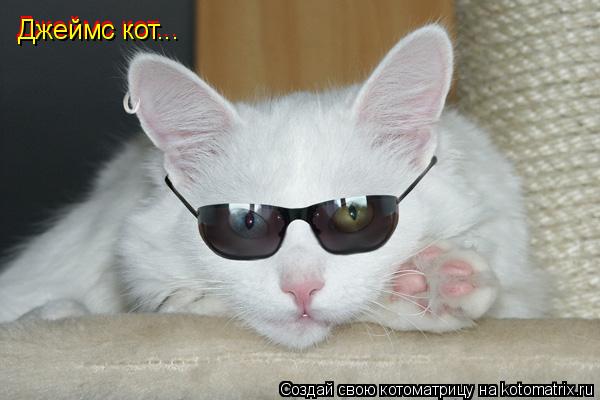 Джеймс кот... Джеймс кот...... Котоматрица: Джеймс кот... Джеймс кот...