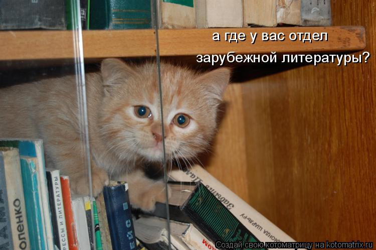 а где у вас отдел зарубежной литературы?... Котоматрица: а где у вас отдел зарубежной литературы?