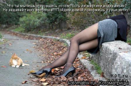 Что ты мычишь,уткнувшись носом?Есть ли мартини,водка,виски? Не задавай таких вопросов!!!Пойдем домой,... Котоматрица: Что ты мычишь,уткнувшись носом?Есть ли мартини,водка,виски? Не задавай таких вопросов!!!Пойдем домой,покормишь лучше киску!!!