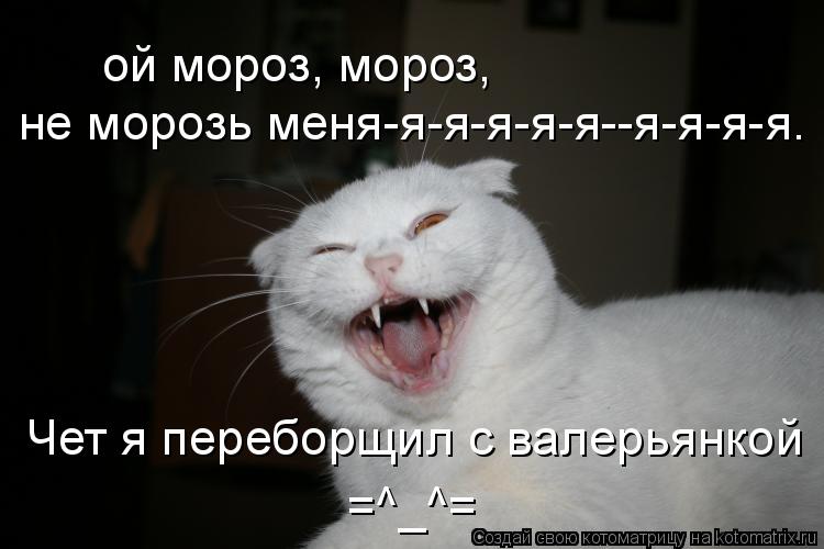ой мороз, мороз, не морозь меня-я-я-я-я-я--я-я-я-я. Чет я переборщил с валерьянкой ой мороз, мороз, ... Котоматрица: ой мороз, мороз, не морозь меня-я-я-я-я-я--я-я-я-я. Чет я переборщил с валерьянкой ой мороз, мороз, не морозь меня-я-я-я-я-я--я-я-я-я. Чет я перебор