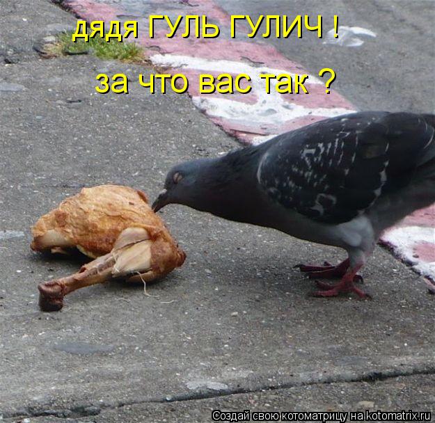 дядя ГУЛЬ ГУЛИЧ ! за что вас так ?... Котоматрица: дядя ГУЛЬ ГУЛИЧ ! за что вас так ?