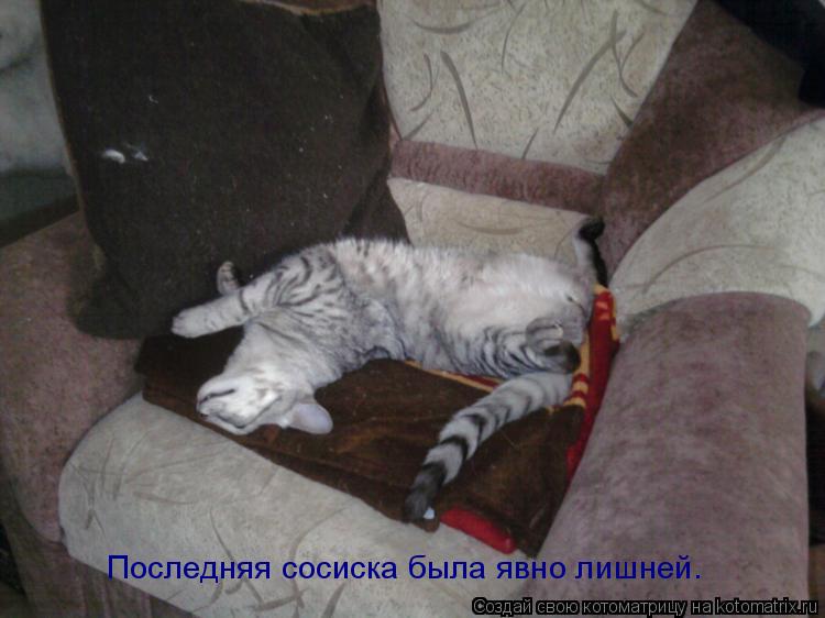 Последняя сосиска была явно лишней.... Котоматрица: Последняя сосиска была явно лишней.