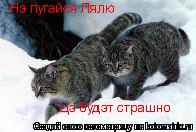 Нэ пугайся Лялю Цэ будэт страшно... Котоматрица: Нэ пугайся Лялю Цэ будэт страшно