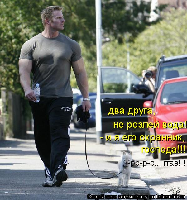 два друга, не розлей вода! - и я его охранник, господа!!! -рр-р-р... ггав!!!... Котоматрица: два друга, не розлей вода! - и я его охранник, господа!!! -рр-р-р... ггав!!!