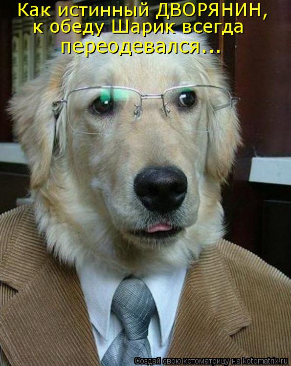 Как истинный ДВОРЯНИН, к обеду Шарик всегда переодевался...... Котоматрица: Как истинный ДВОРЯНИН, к обеду Шарик всегда переодевался...