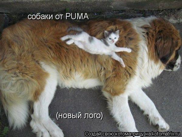 собаки от PUMA (новый лого)... Котоматрица: собаки от PUMA (новый лого)