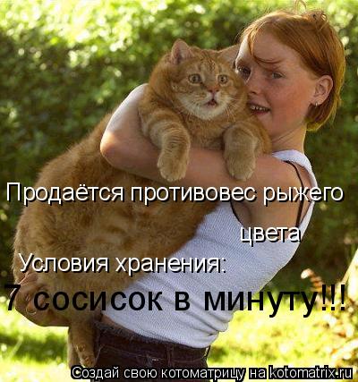 Продаётся противовес рыжего цвета Условия хранения: 7 сосисок в минуту!!!... Котоматрица: Продаётся противовес рыжего цвета Условия хранения: 7 сосисок в минуту!!!