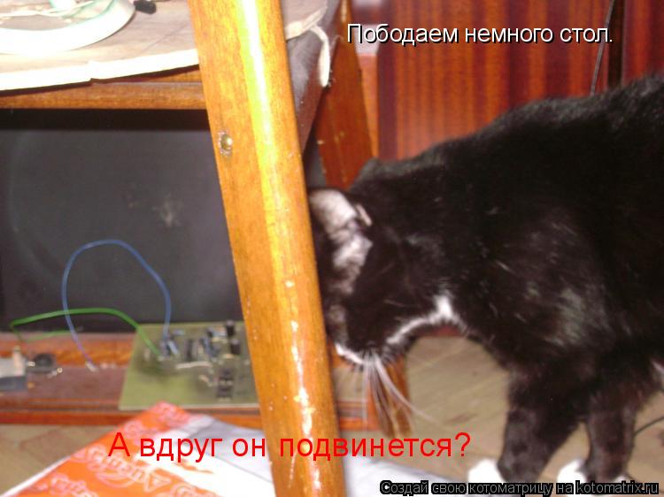 Пободаем немного стол. А вдруг он подвинется?... Котоматрица: Пободаем немного стол. А вдруг он подвинется?
