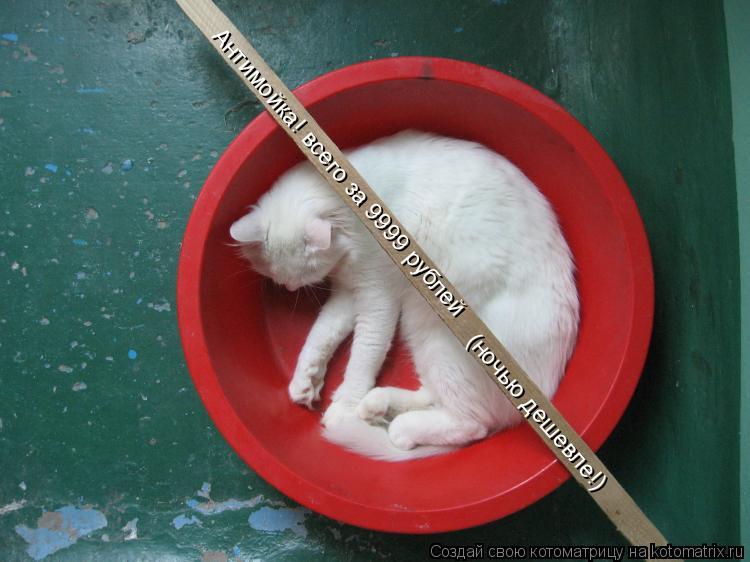Антимойка! всего за 9999 рублей (ночью дешевле!)... Котоматрица: Антимойка! всего за 9999 рублей (ночью дешевле!)