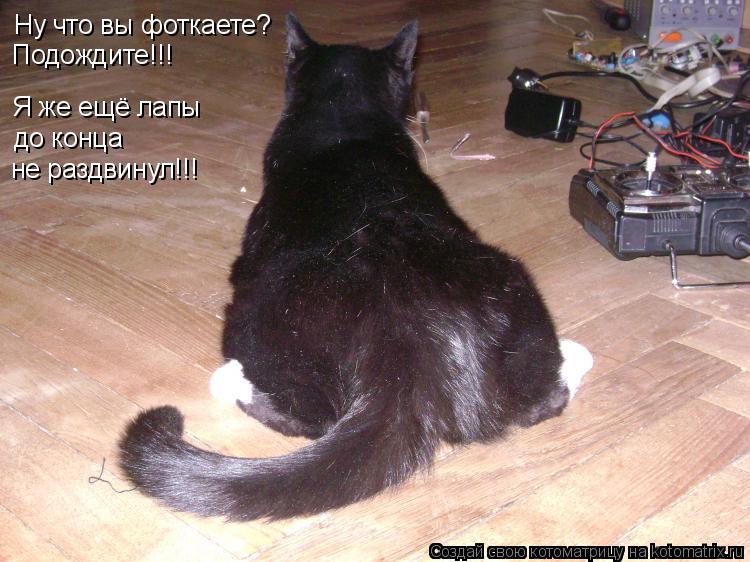 Ну что вы фоткаете? Подождите!!! Я же ещё лапы до конца не раздвинул!!!... Котоматрица: Ну что вы фоткаете? Подождите!!! Я же ещё лапы до конца не раздвинул!!!