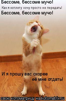 Бессоме, бессоме мучо! Как я котлету хочу просто не передать! Бессоме, бессоме мучо! И я прошу вас ск... Котоматрица: Бессоме, бессоме мучо! Как я котлету хочу просто не передать! Бессоме, бессоме мучо! И я прошу вас скорее её мне отдать!