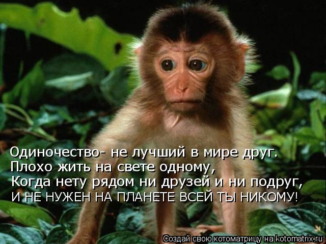 Одиночество- не лучший в мире друг. Плохо жить на свете одному, Когда нету рядом ни друзей и ни подру... Котоматрица: Одиночество- не лучший в мире друг. Плохо жить на свете одному, Когда нету рядом ни друзей и ни подруг, И НЕ НУЖЕН НА ПЛАНЕТЕ ВСЕЙ ТЫ НИКОМУ!