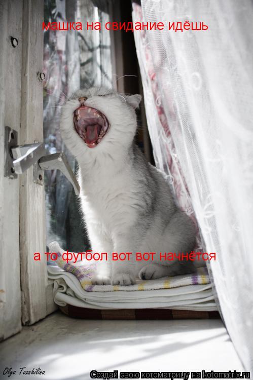 машка на свидание идёшь а то футбол вот вот начнётся... Котоматрица: машка на свидание идёшь а то футбол вот вот начнётся