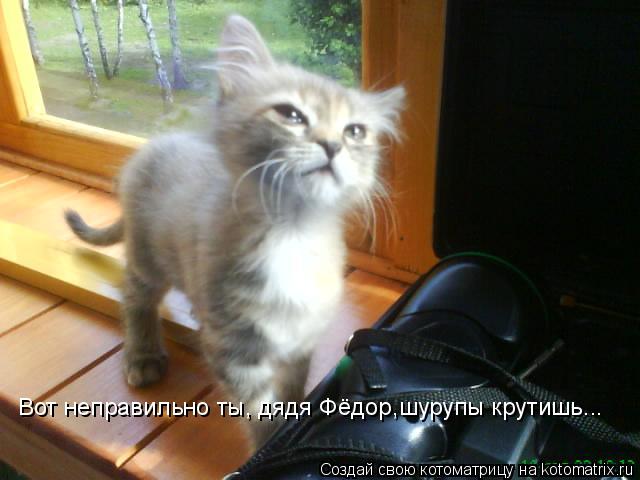 Вот неправильно ты, дядя Фёдор,шурупы крутишь...... Котоматрица: Вот неправильно ты, дядя Фёдор,шурупы крутишь...