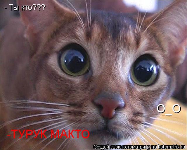 - Ты кто??? -ТУРУК МАКТО О_О... Котоматрица: - Ты кто??? -ТУРУК МАКТО О_О