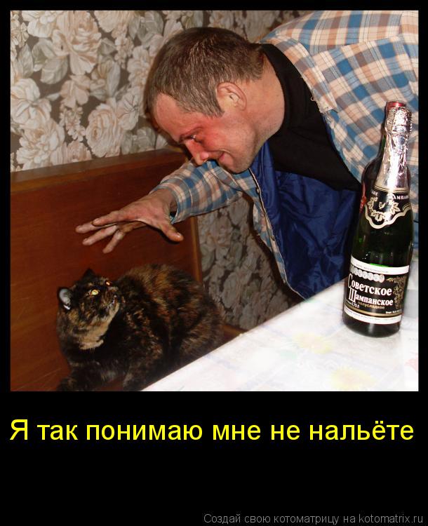 Я так понимаю мне не нальёте... Котоматрица: Я так понимаю мне не нальёте