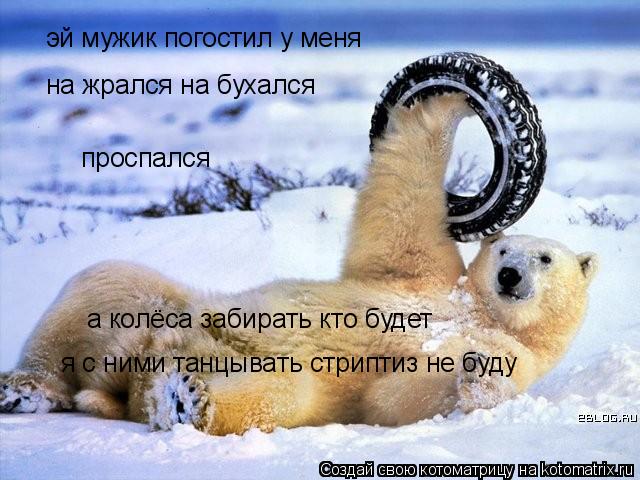 эй мужик погостил у меня проспался а колёса забирать кто будет на жрался на бухался я с ними танцыва... Котоматрица: эй мужик погостил у меня проспался а колёса забирать кто будет на жрался на бухался я с ними танцывать стриптиз не буду