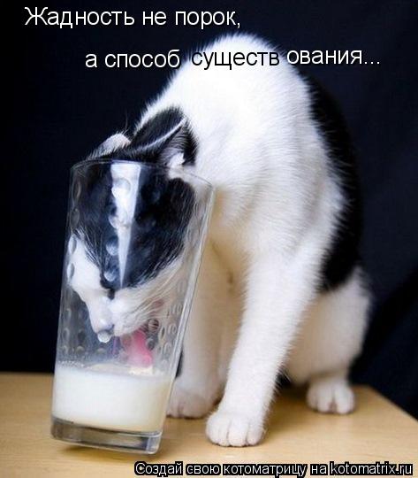 Жадность не порок, а способ существ ования...... Котоматрица: Жадность не порок, а способ существ ования...