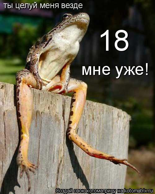 ты целуй меня везде 18 мне уже!... Котоматрица: ты целуй меня везде 18 мне уже!