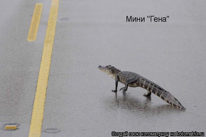 Мини "Гена"... Котоматрица: Мини "Гена"