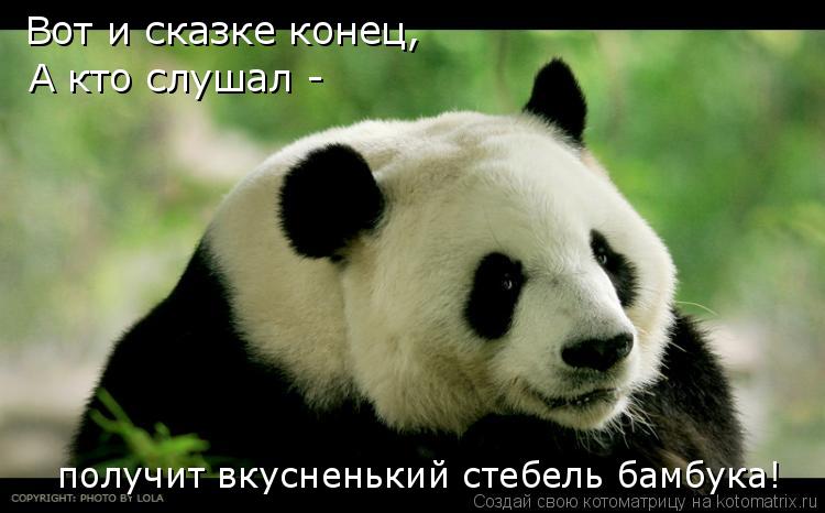 получит вкусненький стебель бамбука! Вот и сказке конец, А кто слушал -... Котоматрица: получит вкусненький стебель бамбука! Вот и сказке конец, А кто слушал -