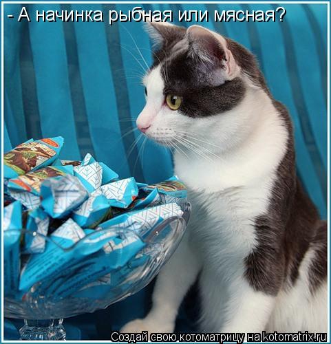 - А начинка рыбная или мясная?... Котоматрица: - А начинка рыбная или мясная?
