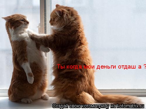 Ты когда мои деньги отдаш а ?... Котоматрица: Ты когда мои деньги отдаш а ?