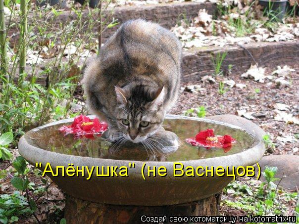 "Алёнушка" (не Васнецов)... Котоматрица: "Алёнушка" (не Васнецов)