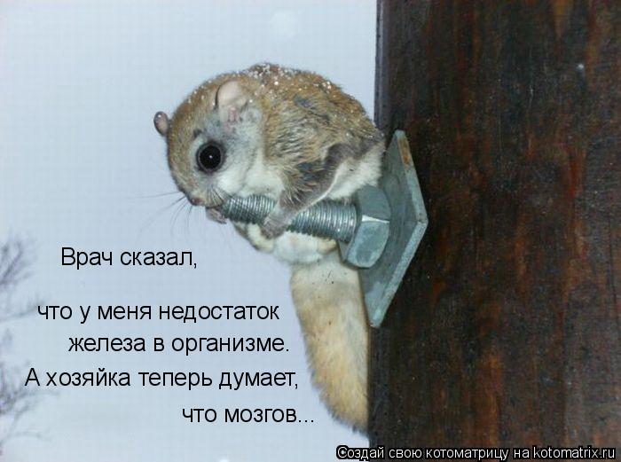 Врач сказал, что у меня недостаток А хозяйка теперь думает, что мозгов... железа в организме.... Котоматрица: Врач сказал, что у меня недостаток А хозяйка теперь думает, что мозгов... железа в организме.