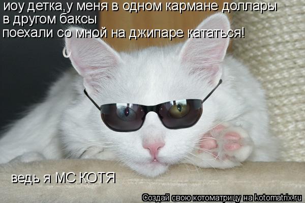 иоу детка,у меня в одном кармане доллары в другом баксы поехали со мной на джипаре кататься! ведь я M... Котоматрица: иоу детка,у меня в одном кармане доллары в другом баксы поехали со мной на джипаре кататься! ведь я MC КОТЯ