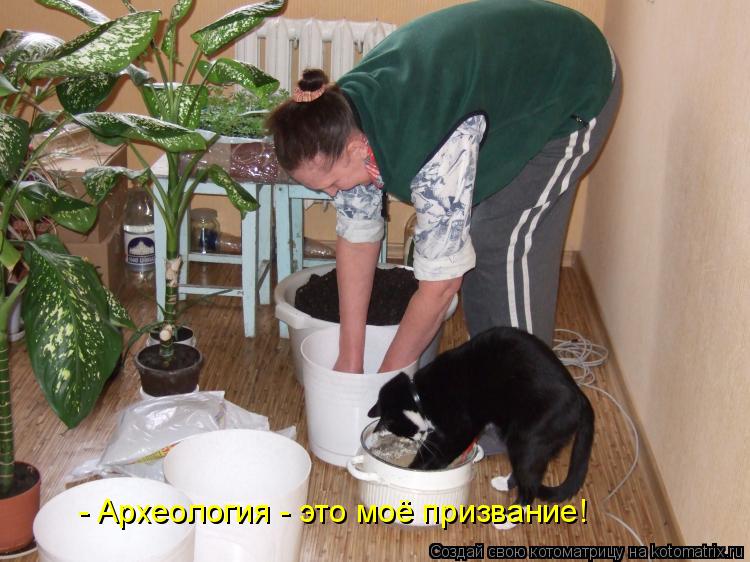 - Археология - это моё призвание!... Котоматрица: - Археология - это моё призвание!