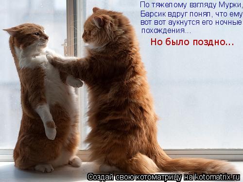 Барсик вдруг понял, что ему вот вот аукнутся его ночные похождения... Но было поздно... По тяжелому ... Котоматрица: Барсик вдруг понял, что ему вот вот аукнутся его ночные похождения... Но было поздно... По тяжелому взгляду Мурки,