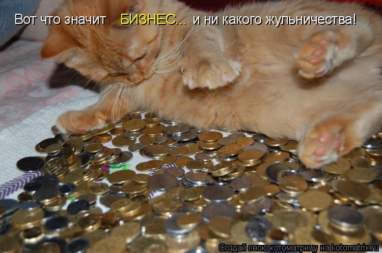 Вот что значит БИЗНЕС... и ни какого жульничества!... Котоматрица: Вот что значит БИЗНЕС... и ни какого жульничества!